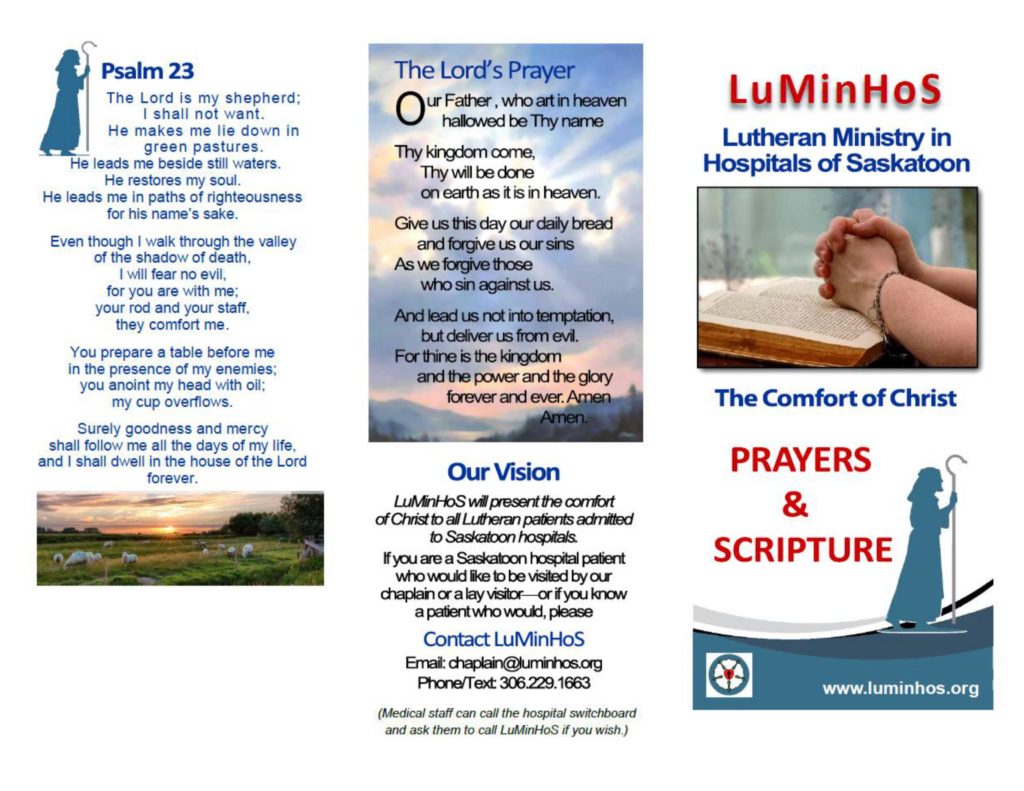 LuMinHoS Brochure